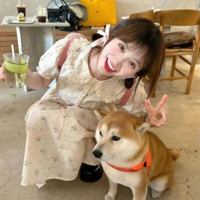 少女编号